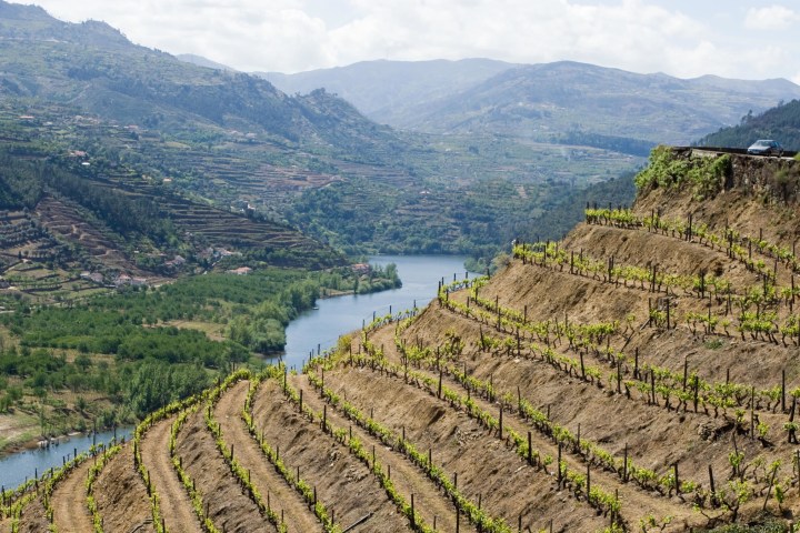 Douro